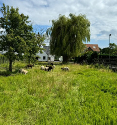 Vrouwtjesweg 62, Stad aan 't Haringvliet