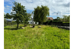 Vrouwtjesweg 62, Stad aan 't Haringvliet