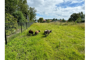 Vrouwtjesweg 62, Stad aan 't Haringvliet