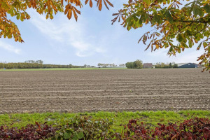 Koningspleisterplaats 221, Goedereede